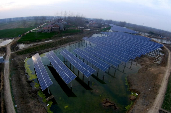 上可發(fā)電下可養(yǎng)殖&mdash;&mdash;天合光能擴(kuò)大魚塘收益改善基礎(chǔ)設(shè)施