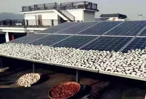 光伏電站收益掉一半？學(xué)會三招直往上！