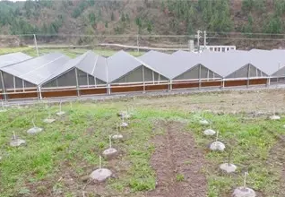 準(zhǔn)扶貧看光伏，生態(tài)農(nóng)業(yè)助力農(nóng)村大發(fā)展