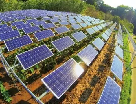 一塊土地 兩份收入！還是光伏農業(yè)最靠譜！