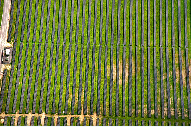 2017年能源監(jiān)管清單明確 對(duì)光伏的好壞參半，影響不一