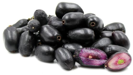 聽說了嗎！這種印度水果竟然能制造低成本太陽能電池