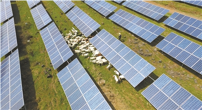 江蘇:用地不沖突 農(nóng)光互補(bǔ)示范項(xiàng)目建成