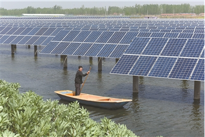 江蘇:用地不沖突 農(nóng)光互補(bǔ)示范項(xiàng)目建成