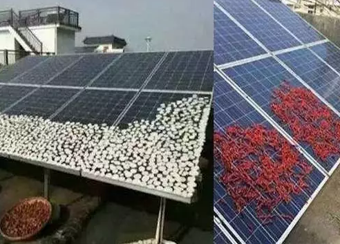 農(nóng)村光伏電站致命殺手是遮擋，這幾樣遮擋萬(wàn)萬(wàn)要不得！