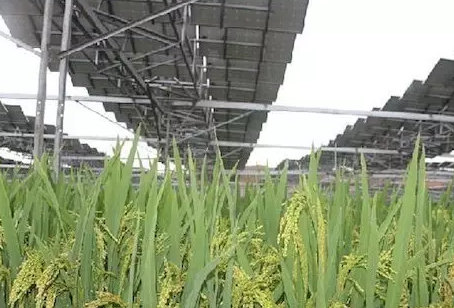 夏季能提高光伏電站發(fā)電量不假，但也會降低發(fā)電量！用戶該怎么辦？