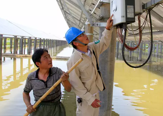 安裝了光伏電站后，居然讓60畝蟹塘從虧損到年入百萬！