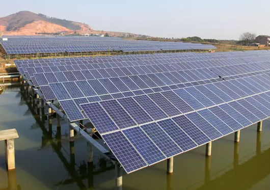 安裝了光伏電站后，居然讓60畝蟹塘從虧損到年入百萬！