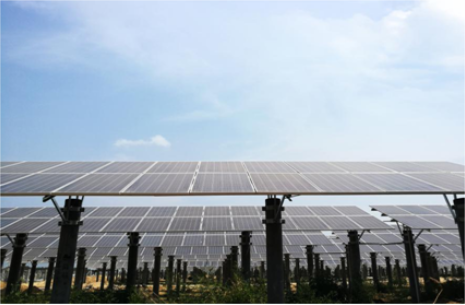 5省11縣1631并網(wǎng)點 陽光電源再助5萬多貧困戶脫貧致富