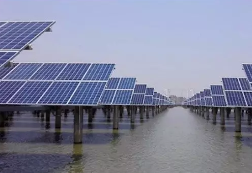 漁民靠漁光互補年收入高達400萬，是如何做到的