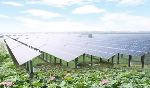 這個(gè)農(nóng)業(yè)項(xiàng)目未來(lái)5年市場(chǎng)規(guī)模上萬(wàn)億，普通創(chuàng)業(yè)者能做嗎？要怎么做？