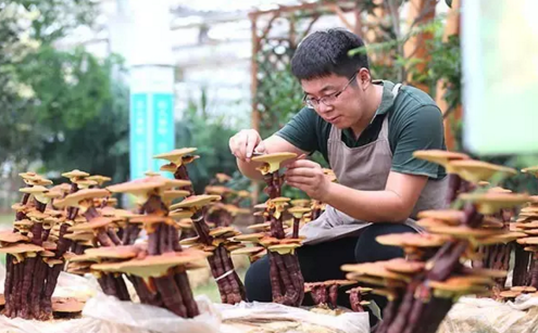 90后小伙趕上光伏好時(shí)代，回鄉(xiāng)創(chuàng)業(yè)年入百萬(wàn)！