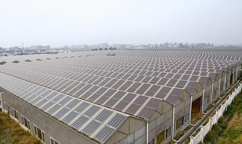 為什么光伏農(nóng)業(yè)大棚備受追捧？主要有這幾大方面原因