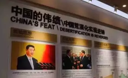 光伏板下搞養(yǎng)殖拼出&ldquo;沙漠綠洲&rdquo; 給21億人帶來(lái)希望！