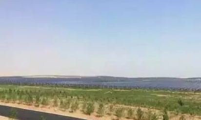 光伏板下搞養(yǎng)殖拼出&ldquo;沙漠綠洲&rdquo; 給21億人帶來(lái)希望！