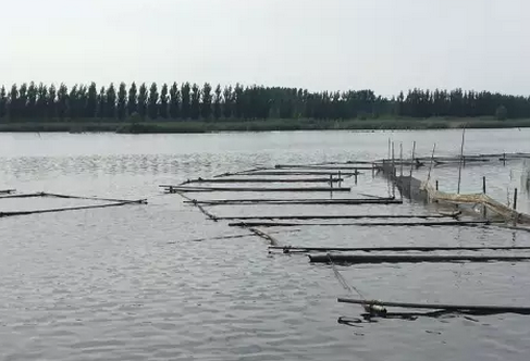 濟寧光伏領跑者基地930并網或基本無望,領跑者前期基地規(guī)劃需慎重