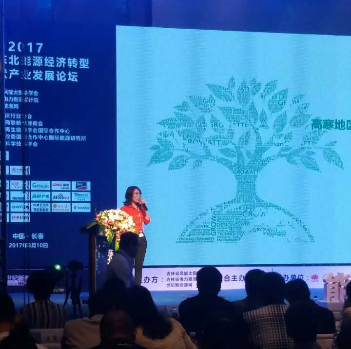 高寒地區(qū)挑戰(zhàn)多？分布式項目光伏逆變器的可靠性是關(guān)鍵！