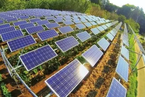 分布式光伏發(fā)電市場真的爆發(fā)了嗎？還缺點(diǎn)啥？