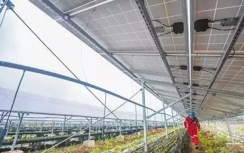 光伏農(nóng)業(yè)&mdash;&mdash;最新經(jīng)濟(jì)熱點，遍地機(jī)遇你抓住了嗎？