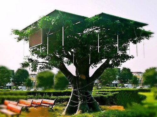 &ldquo;光伏樹&rdquo;問世，但農(nóng)村市場(chǎng)會(huì)買單嗎？