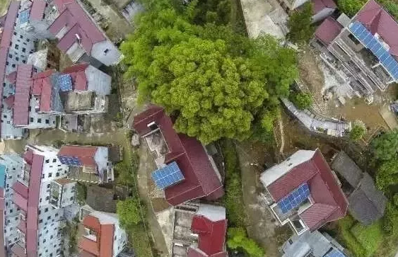 國網(wǎng)接入光伏扶貧電站9003兆瓦，惠及138.5萬家庭