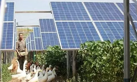 江西吉安&ldquo;農(nóng)光互補(bǔ)&rdquo;：棚頂光伏發(fā)電棚內(nèi)種菜