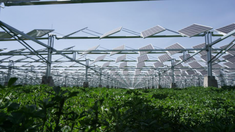 同道同景，共創(chuàng)共享|同景新能源攜手PVIC 2017 共筑光伏創(chuàng)新發(fā)展之路