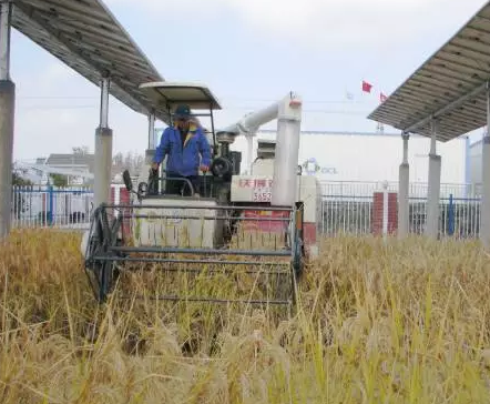 2017&rdquo;光伏下鄉(xiāng)&ldquo;開啟了萬億級(jí)光伏市場！