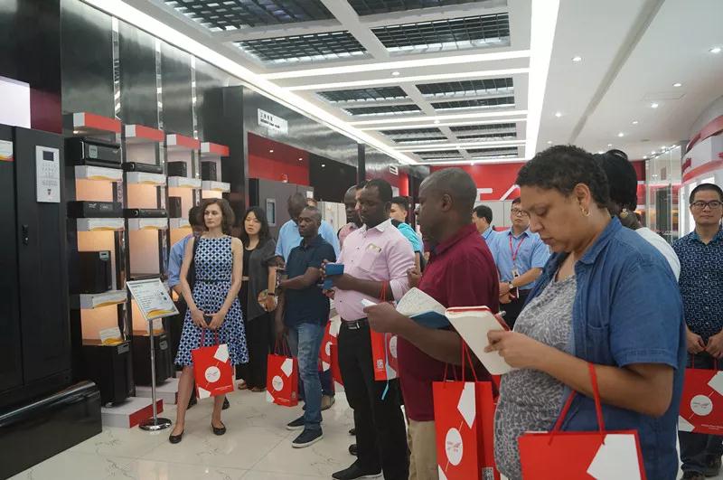 儲(chǔ)能逆變器2016年出貨量前十名有哪些？