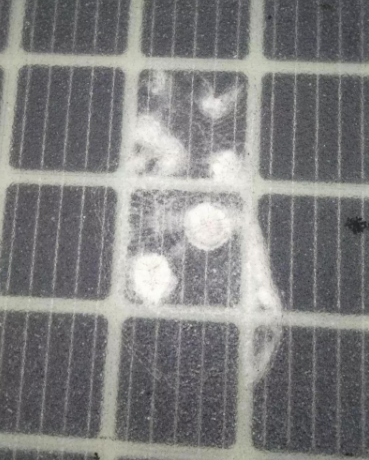 開通僅三天 全球首條光伏高路公路遭人為破壞！