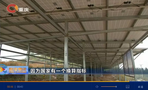 光伏發(fā)電又多了一項補貼！二氧化碳零排放補貼！