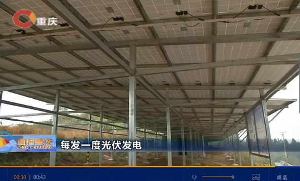 光伏發(fā)電又多了一項補貼！二氧化碳零排放補貼！