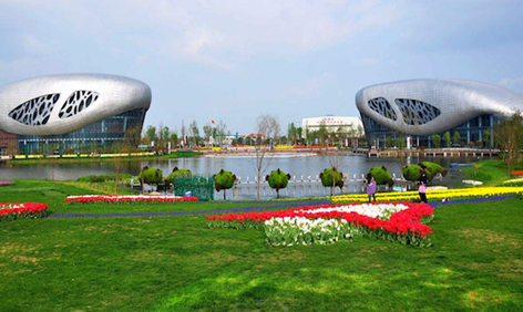 百家知名光伏企業(yè)集聚揚(yáng)中，探討商業(yè)合作模式，推動(dòng)綠色能源發(fā)展