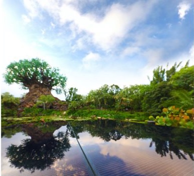 太陽(yáng)能樂(lè)園來(lái)了！華特迪士尼將建50MW光伏電站