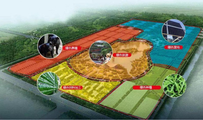 誠邀 | 中來在上海新國際博覽中心W5-330等您！