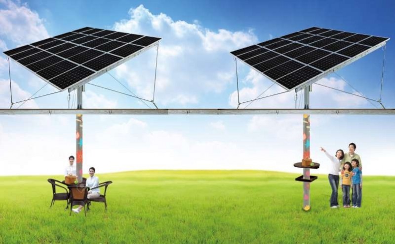 行業(yè)面臨困境:“架高+追日”開辟降本增效新路徑