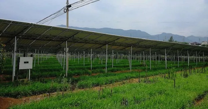 商洛市3MW農(nóng)光互補(bǔ)項(xiàng)目成示范，首航逆變器穩(wěn)定助力，業(yè)主收益有保障