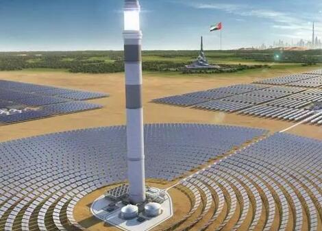 如何守護(hù)光熱電站廠區(qū)內(nèi)的野生動植物？看海外幾個光熱項目是如何做的