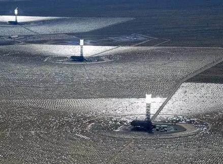 如何守護(hù)光熱電站廠區(qū)內(nèi)的野生動植物？看海外幾個光熱項目是如何做的