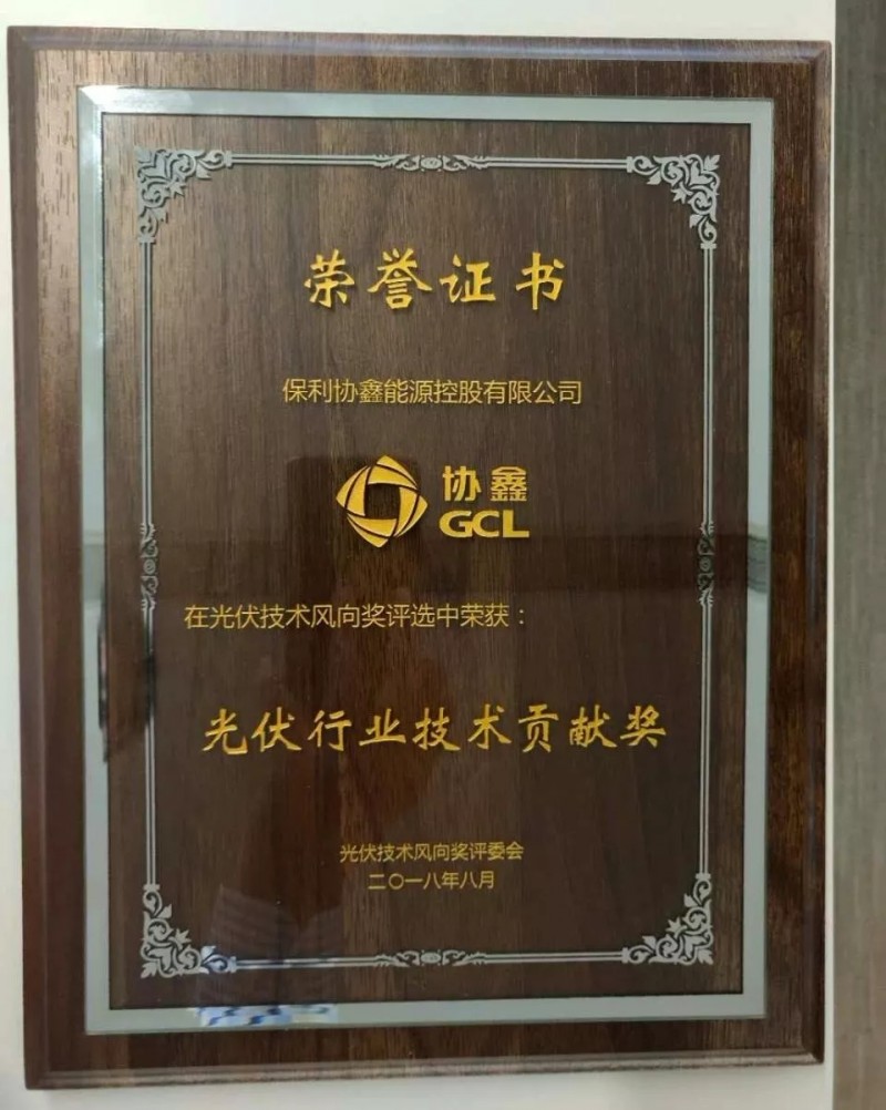 引領(lǐng)黑硅高效光伏，保利協(xié)鑫榮膺&ldquo;光伏行業(yè)技術(shù)貢獻獎&rdquo;