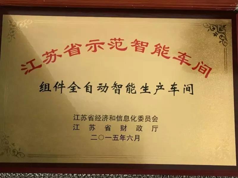 全球雙面領跑首證揭曉 億晶摘冠喜獲多方高評