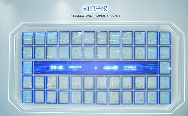 P7.png