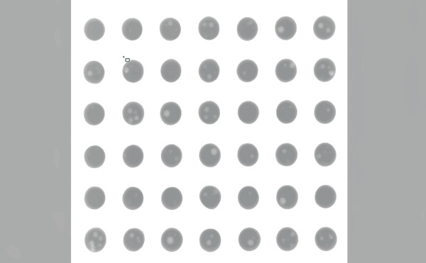尾1.gif