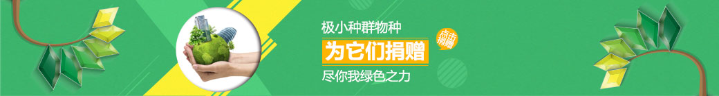 為它們捐贈(zèng)