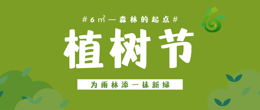 植樹節(jié)|為雨林添一抹新綠